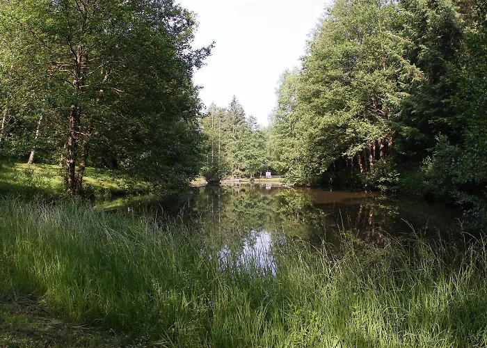 Hotel Zur Morschbach